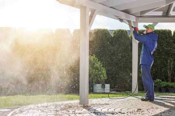 Best Sidewalk and Walkway Cleaning  in Indian River Shores, FL